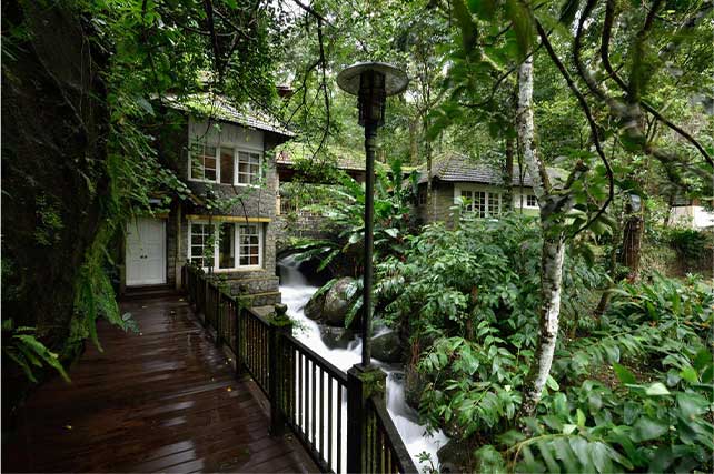 Resorts In Thekkady, best jungle resort in india